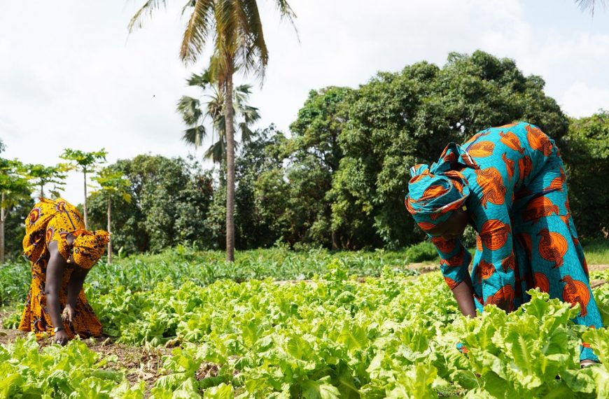 LAPO Boosts Rural Agriculture, Support Farmers with N1.4 Billion in Q1 2024