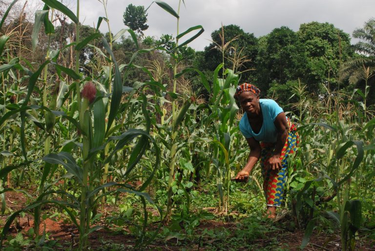 194,087 Rural Farmers, Others Supported With N2.2bn