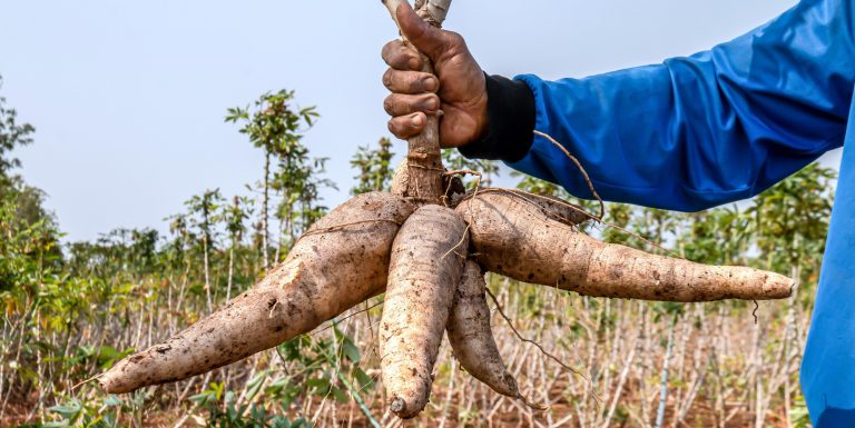 216,048 Rural Farmers, Others Supported With N2.4bn