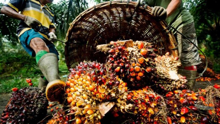 182,853 Rural Farmers, Others Supported With N1.3bn